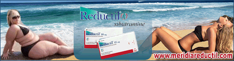 Soledad reducir porcentaje de grasa abdominal abandonar estas dietas reducir porcentaje de grasa abdominal