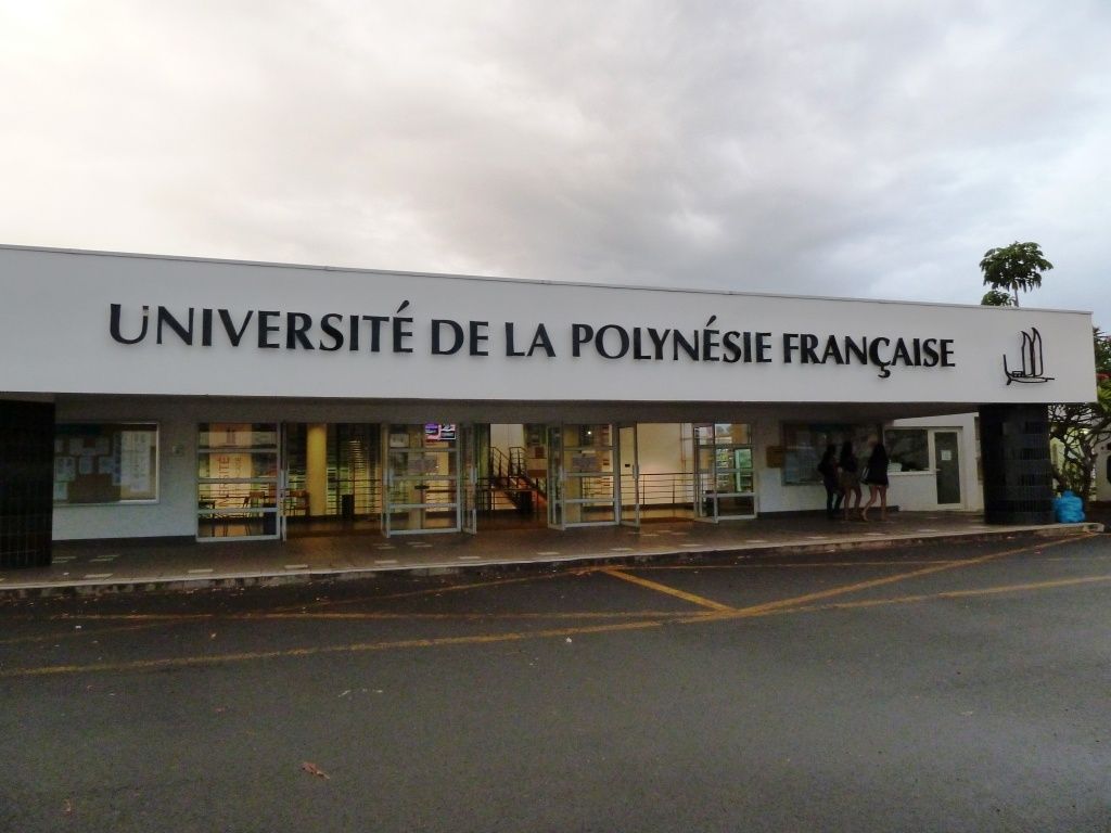 site de rencontre niche