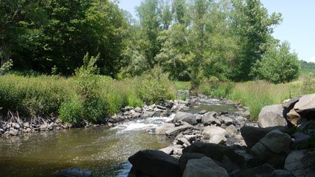 le Puy : le bois de la chelette - RondoRando