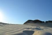 dune.jpg