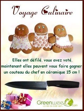 logofinalconcours.jpg