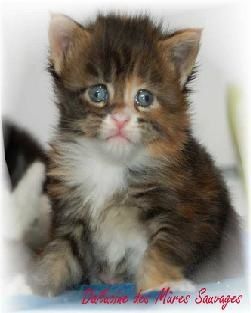 Melie-Bebe-2--2-.jpg