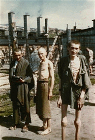mauthausensurvivants