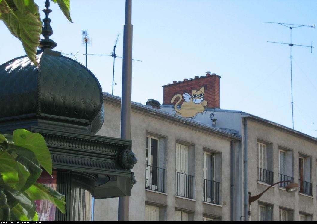 chat orleans