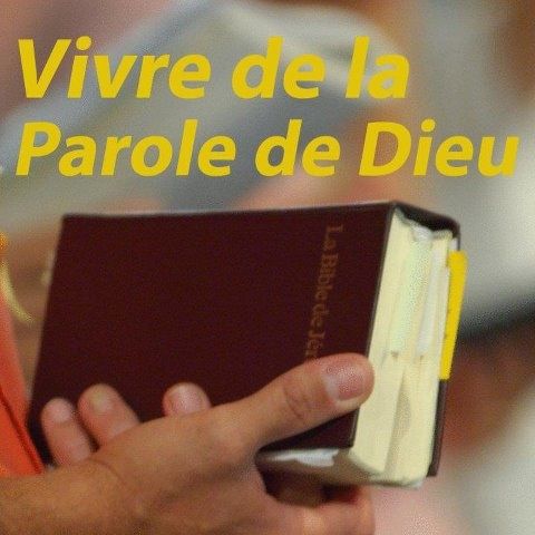 La joie de l’Évangile/Citation/148<>151 599267_10151917605110032_640162450_n