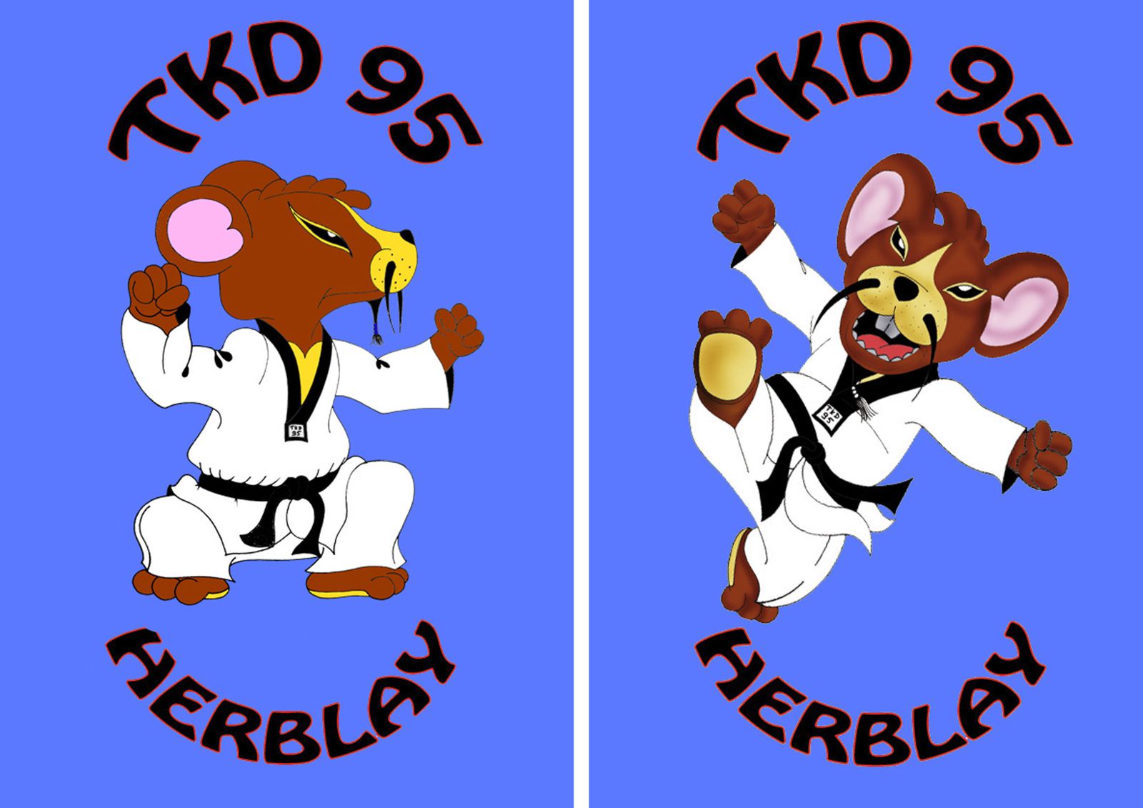 club taekwondo 95
