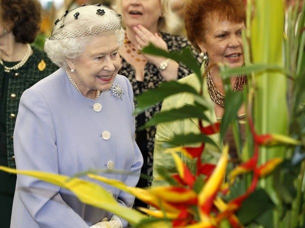 reineflowers.jpg