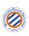 Mini-Logo-MHSC.gif