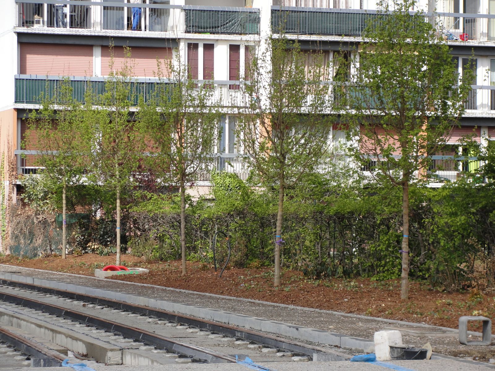 http://idata.over-blog.com/4/60/40/19/Construction-de-la-ligne---2012---1/DSC08207.JPG