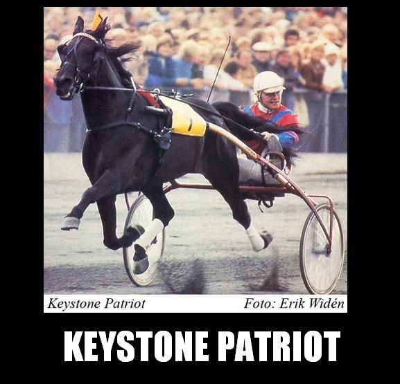 Keystone-Patriot--1-.jpg