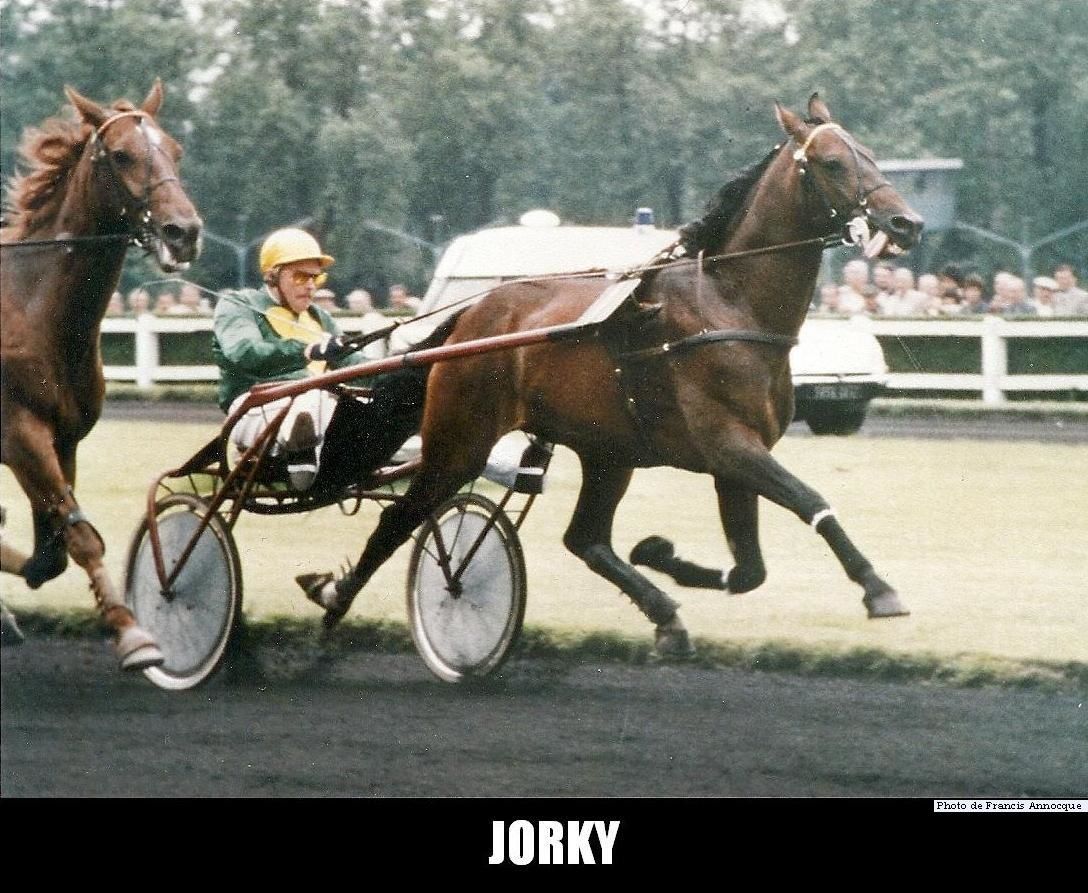 Les trotteurs français - (08) Les champions années 1980 (Jorky) - Histoire  du Trot