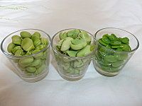 P1020372