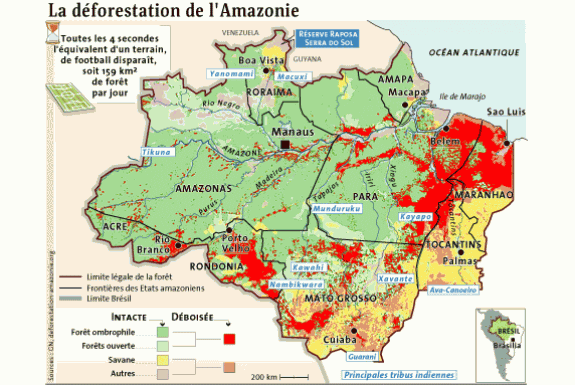 deforestation_amazonie1.gif