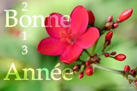 BONNE-ANNEE-2013.jpg