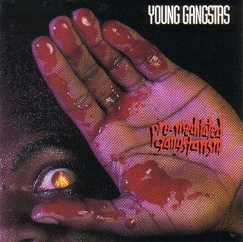 Young-Gangstas---Premeditated-Gangstarism.JPG