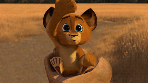 tumblr_mfpcchtBdk1rrn9k9o1_500.gif