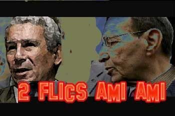2-flics.jpg