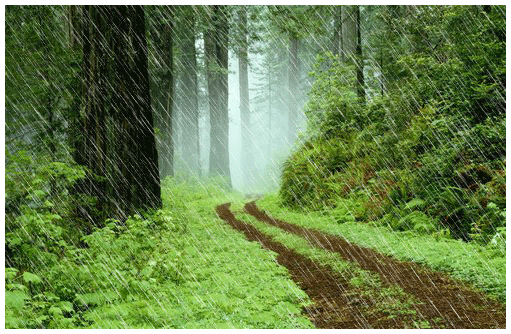 3651a988-copie-1.gif