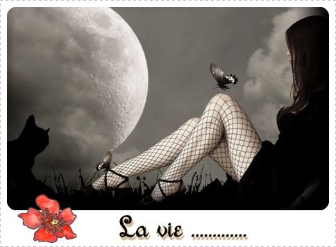 la vie