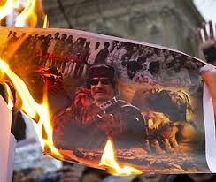 images--6-.jpg