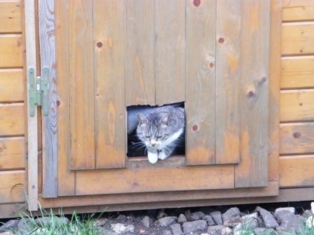 TIA2008 0601
