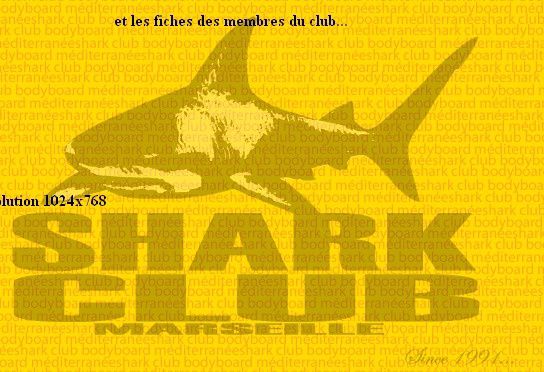 SHARK-CLUB-MARSEILLE-surf-bodyboard.jpg