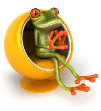 Frog-sitting-in-chair.JPG
