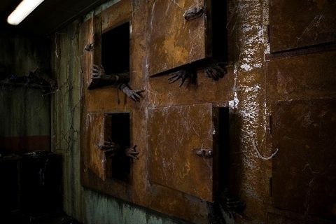 dark-floors-4.jpg
