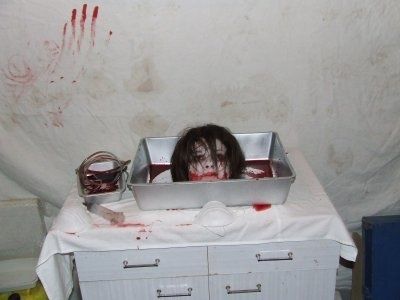 1279213495_5_projet_biohazard.jpg