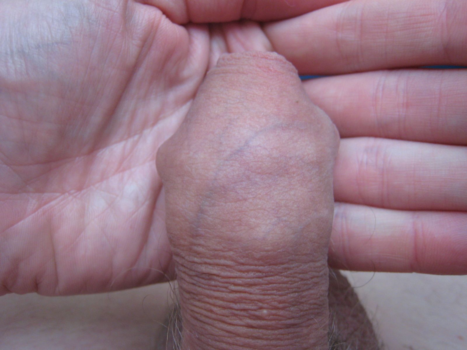 penis massasje sextreff ålesund penis massasje sextreff ålesund