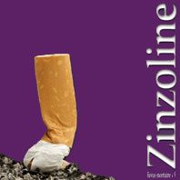 zinzo-9v.jpg