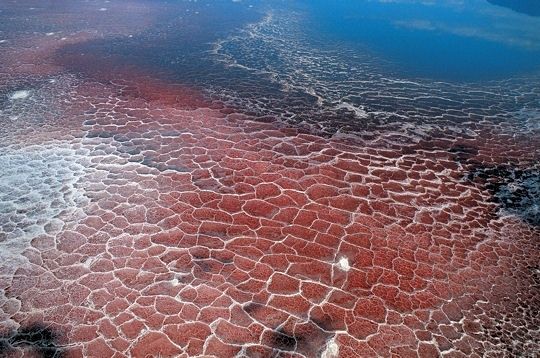 lac-natron-.jpg