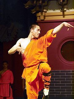 Shaolin_Kung_Fu.jpg