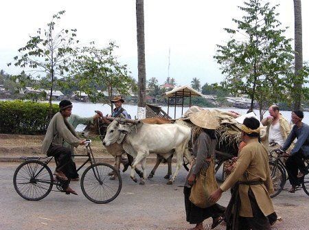 Empire-Tigre-street.jpg