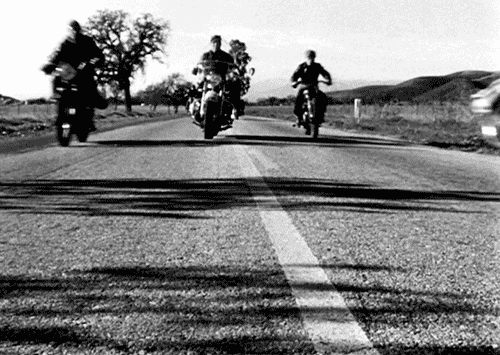 motoriders-in-motion.gif