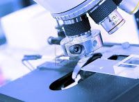 microscopio.jpg