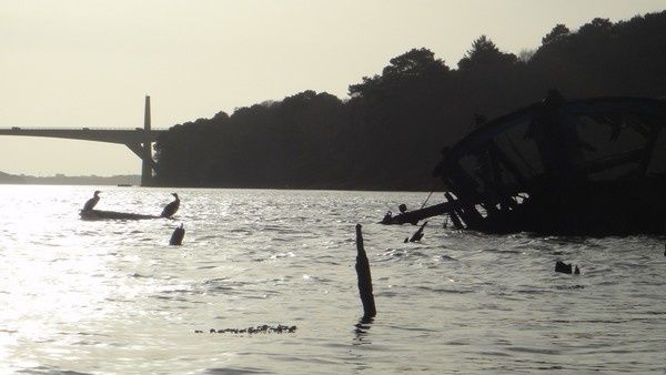 Bateau_12.jpg
