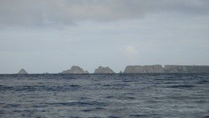 Tas-de-Pois.jpg