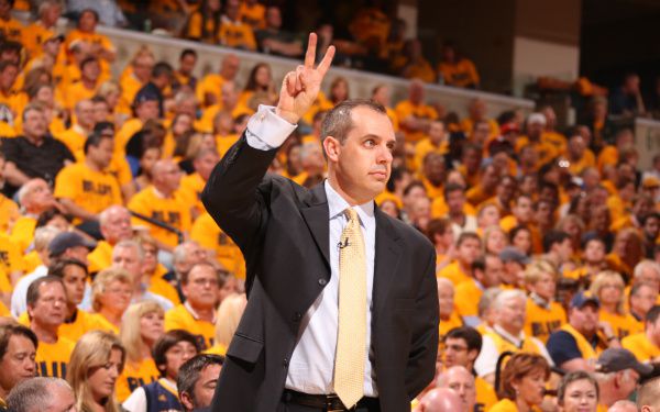 vogel