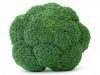 1097213 healthy green broccoli