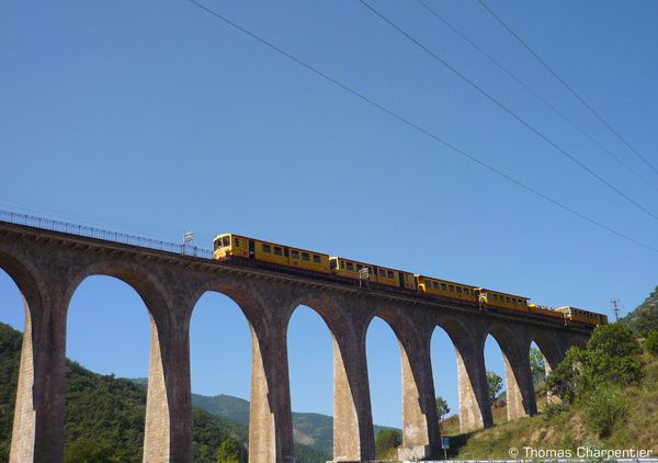 train-jaune.jpg