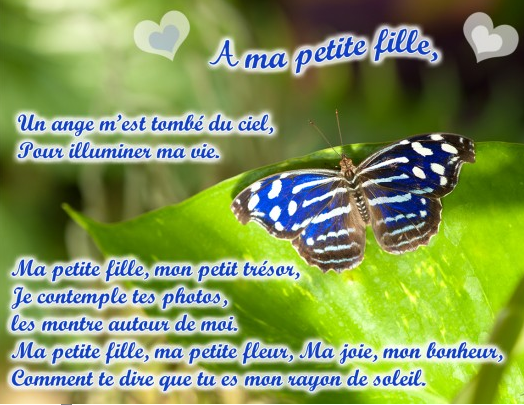 jounee-de-la-poesie.PNG