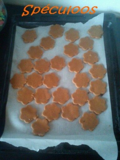 Copie-de-mms_img66702.jpeg