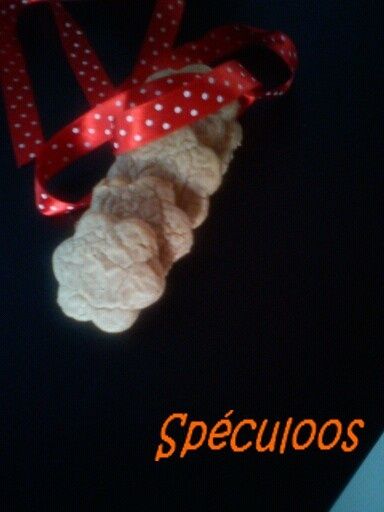 Copie-de-mms_img66703.jpeg