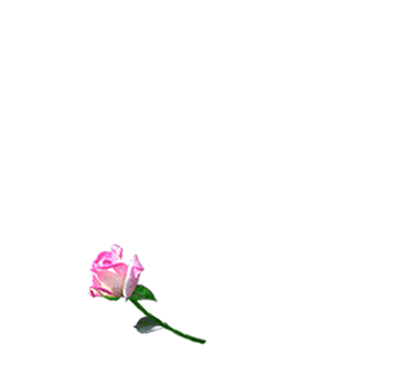 gif-anime-fleur-4-gratuit-copie-1.gif