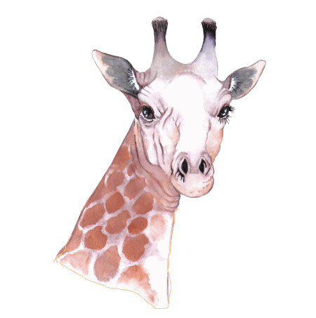 c7e73df0