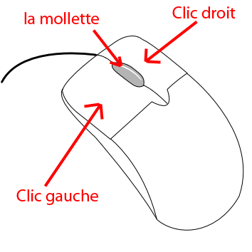 Généralités souris et clavier - Tutoriel Débutants - FMER : INFORMATIQUE ET  LIBERTES