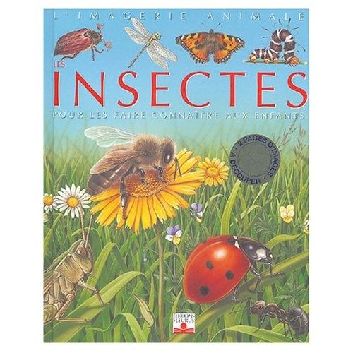 insectes.jpg