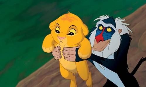LE-ROI-LION-photo-2.jpg
