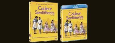 La-couleurs-des-sentiments--The-Help-.jpg
